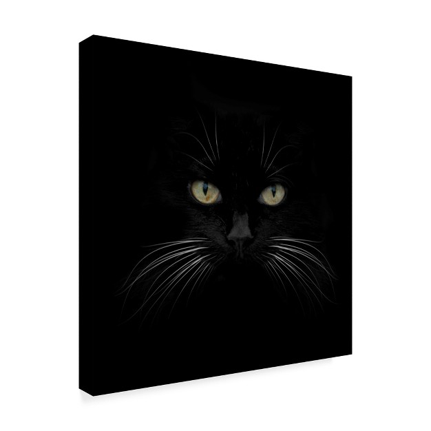 Trademark Fine Art lori Hutchison x27 black Cat Centered x27 Canvas Art