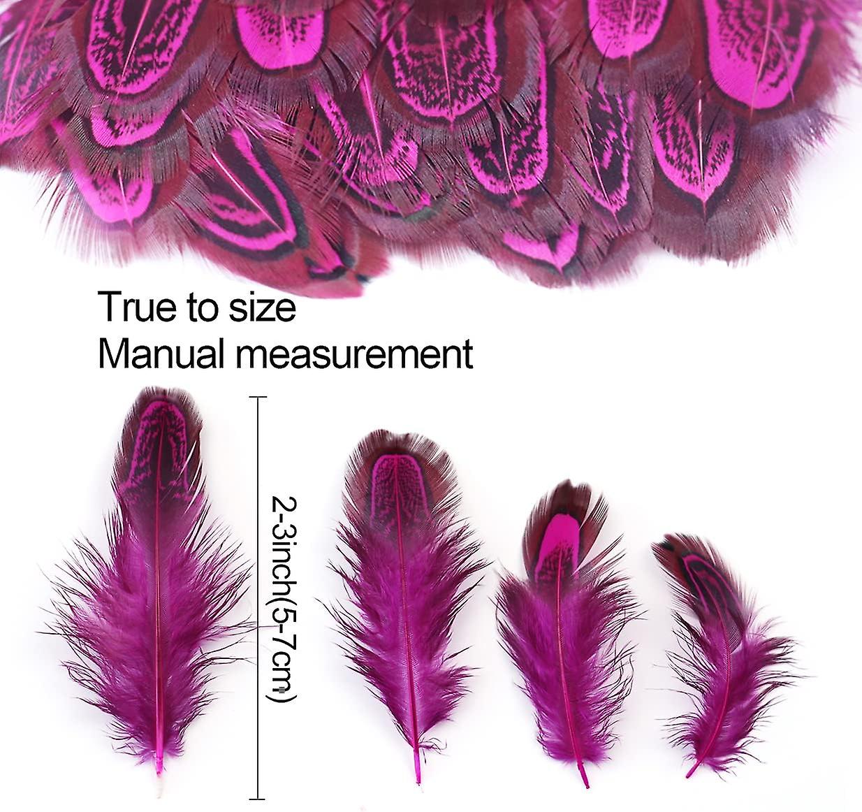 100 Pcs 2-3 Inch Rose Red Pheasant Feathers Bulk Various Colors Natural Feather Crafts Clothing Hat Sewing Decorating