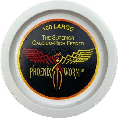 ABDragons Large Phoenix Worms Small Pet and Reptile Food