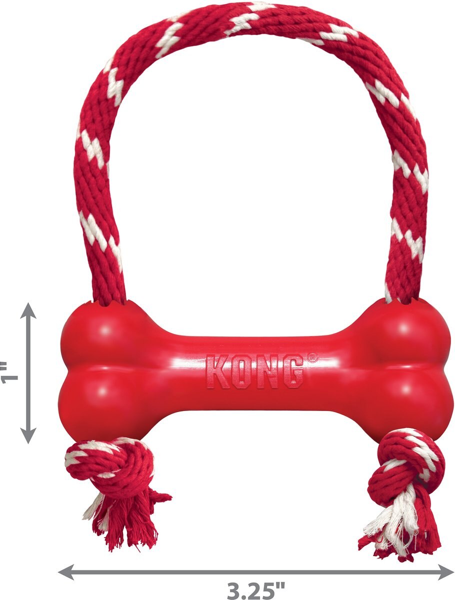 KONG Goodie Bone with Rope Dog Toy