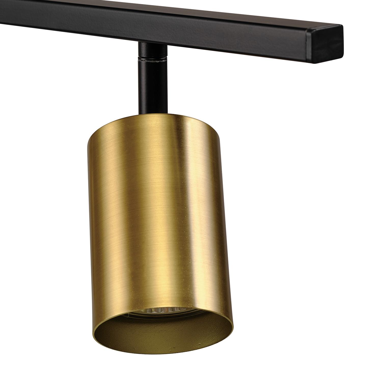 Globe Electric West Matte Black and Matte Brass 4-Light Track Lighting with Center Swivel Bar， 91000133