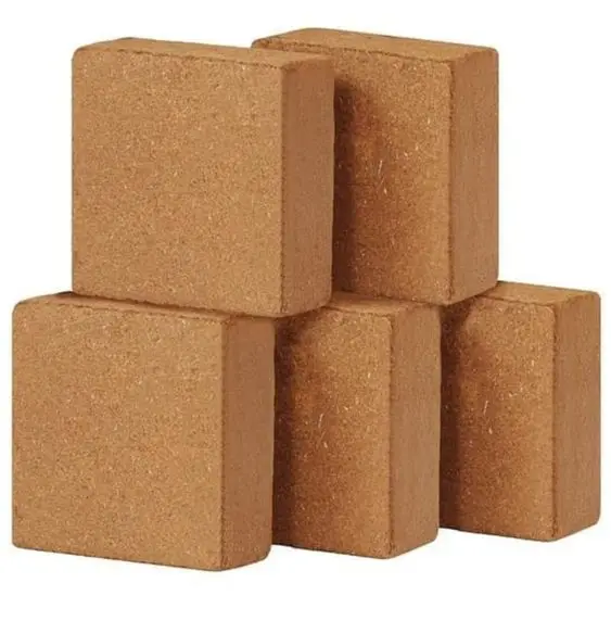 Best Sales ofCocoCoir Pith Blocks A Dynamic Duo Plant Enthusiasts Beyond Gardening Innovative Coir Peat Blocks forSustainability