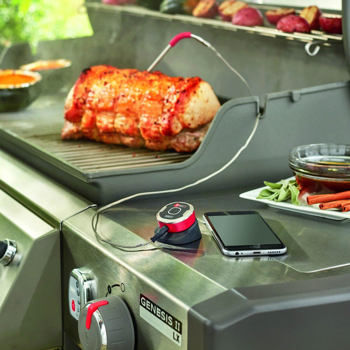 Weber 7202 iGrill Mini Smart LED Wireless Bluetooth Grill Thermometer With Single Probe