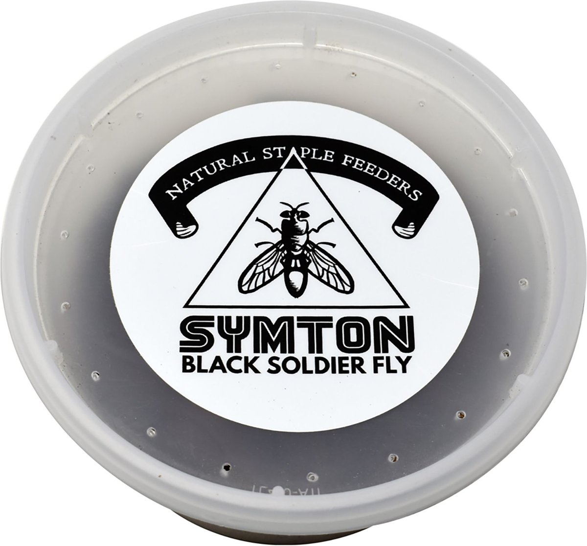 Symton Small Live Black Soldier Fly Larvae Lizard Food