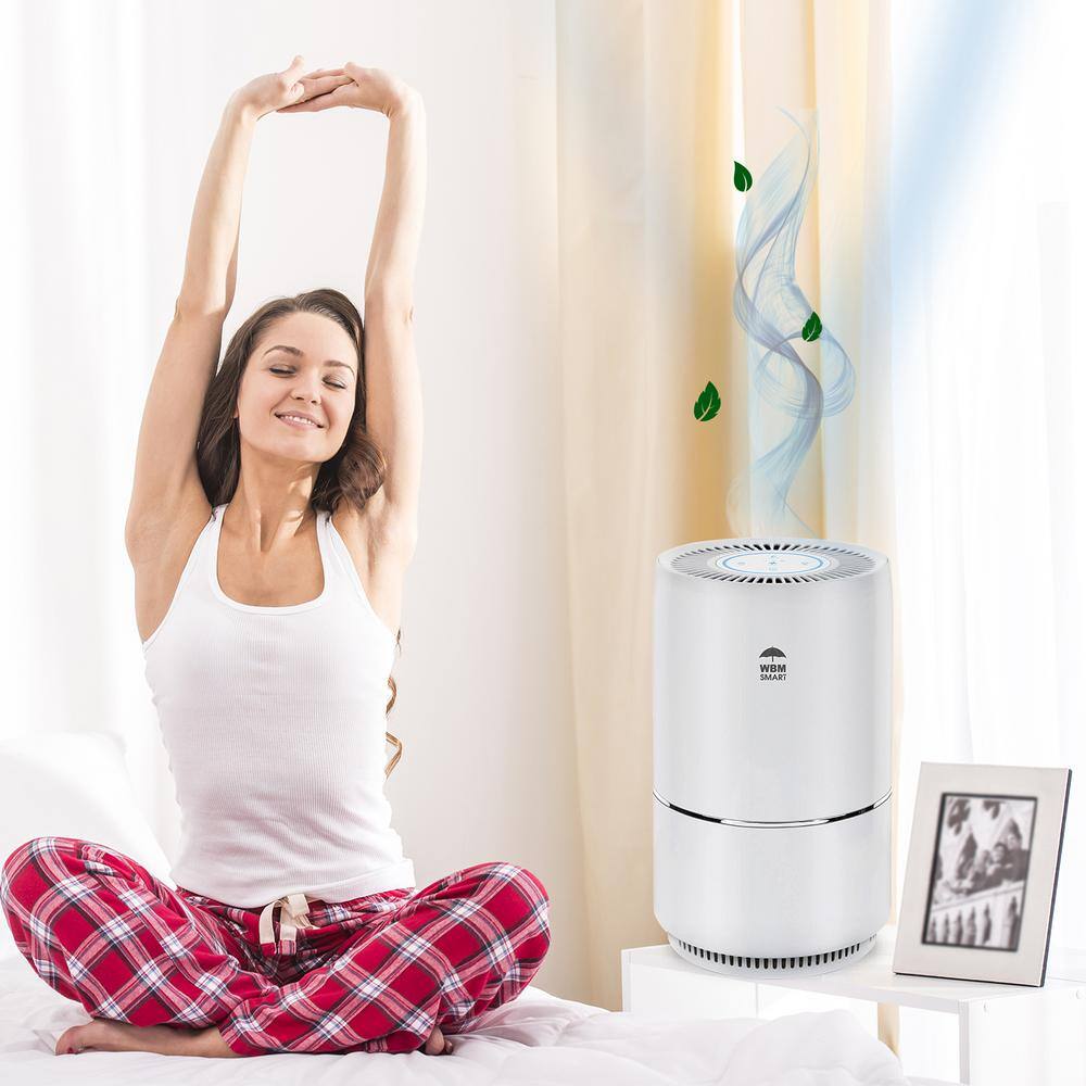 WBM SMART Air Purifier True HEPA for Large Rooms Remove 99.97% Dust Mold Pet Odors White AR-04-WHITE-A