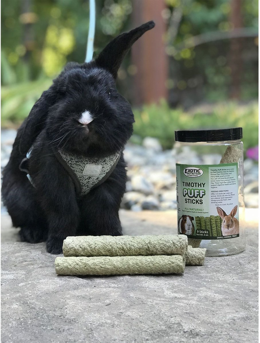 Exotic Nutrition Timothy Puff Sticks Rabbit Treats， 9 count