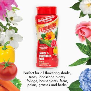 Dynamite 1 lb. Flower and Vegetables Plant Food 82080