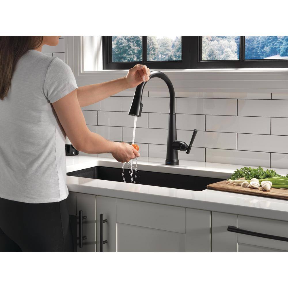 Delta Emmeline Single-Handle Pull-Down Sprayer Kitchen Faucet with Touch2O and ShieldSpray in Matte Black 9182T-BL-DST