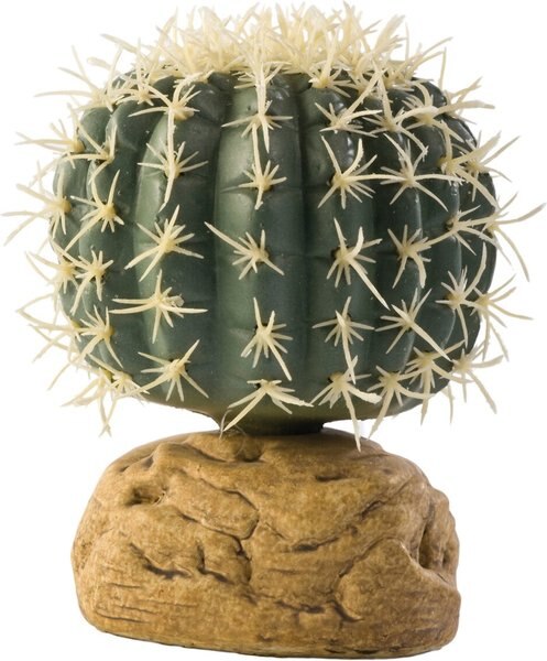 Exo Terra Barrel Cactus Reptile Terrarium Plant