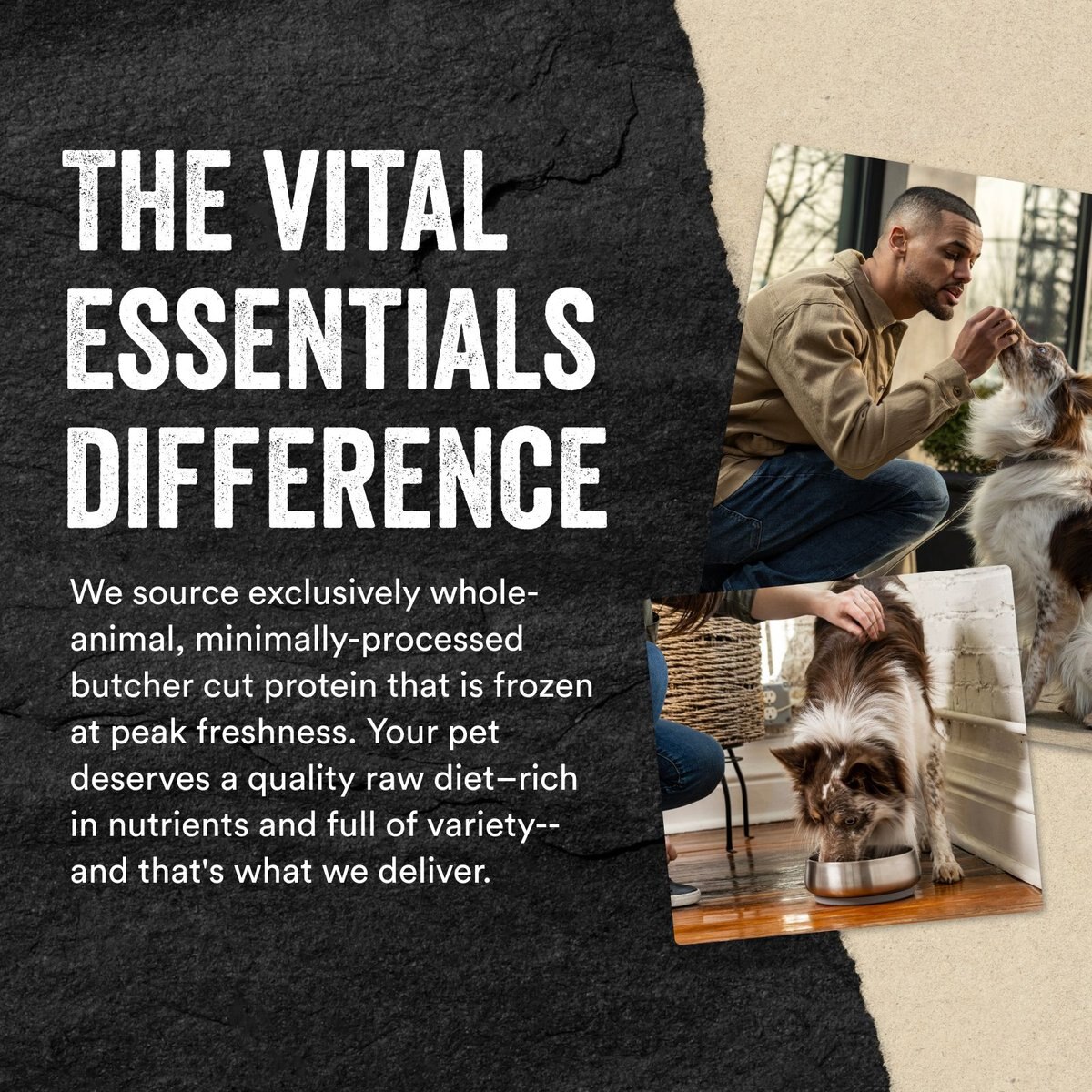 Vital Essentials Protein Mix-In Beef Recipe Mini Nibs Grain-Free Freeze-Dried Raw Dog Food Topper