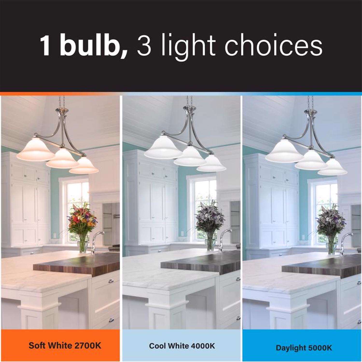 Feit A19 E26 (Medium) LED Bulb Multi-Colored 60 Watt Equivalence 1 pk