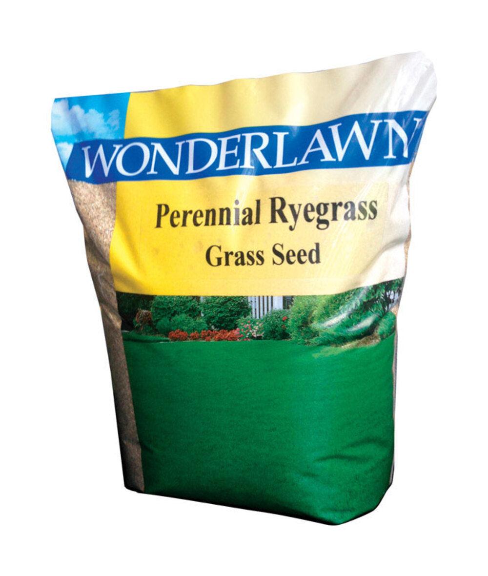 RYEGRASS SEED PEREN 10LB