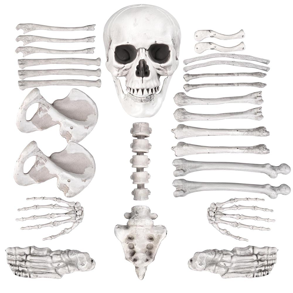 Yescom Bag of Skeleton Bones Props 28Pc Set for Halloween Party