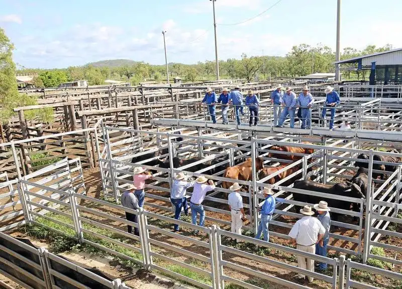 Hot sale Cattle panel livestock fence