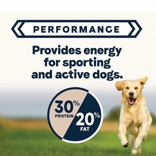 Canidae 30 lb Active Goodness Multi Protein Dog Food