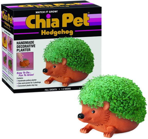 Joseph Enterprises JEI CP438 01 C Hedgehog Chia Pe...