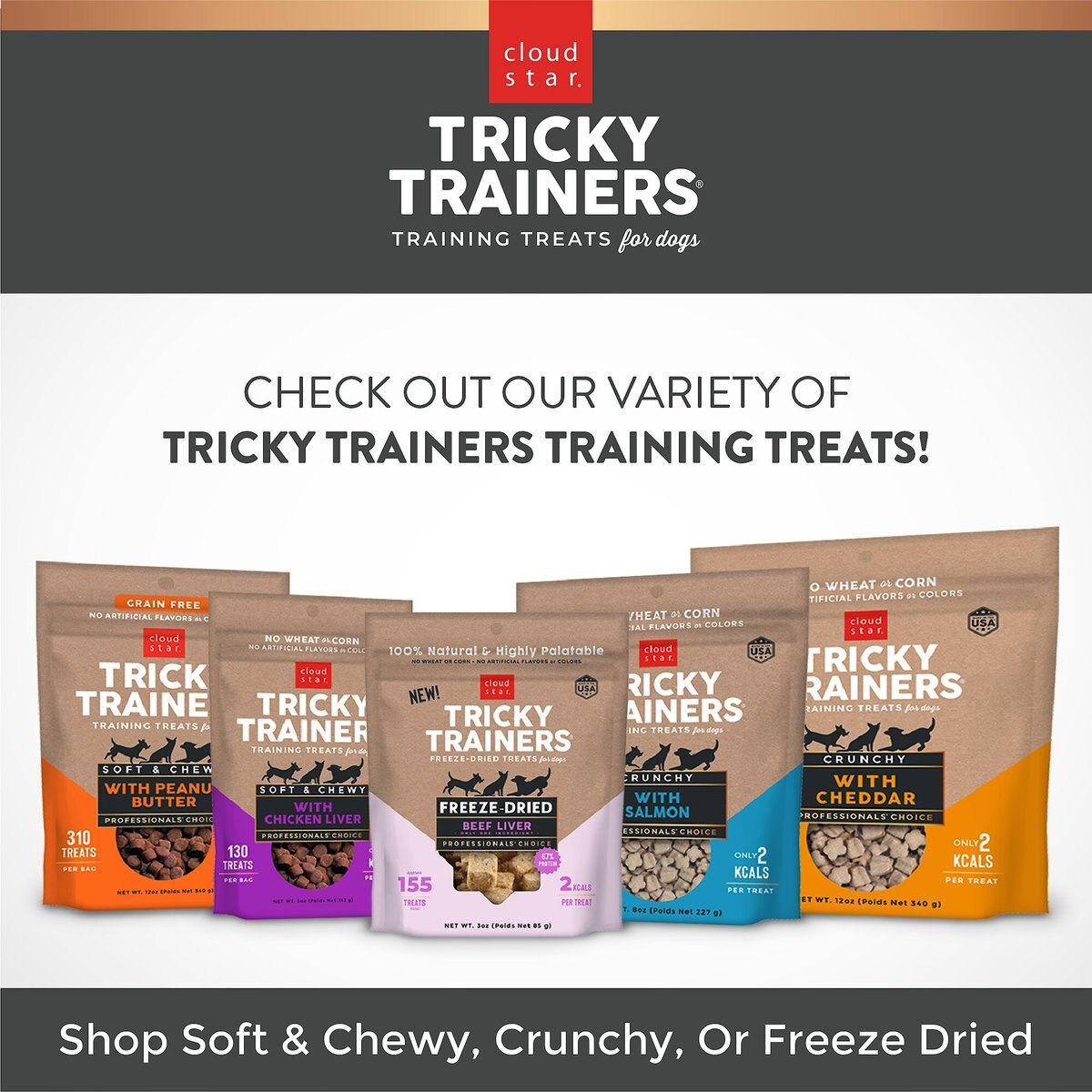 Cloud Star Tricky Trainers Freeze Dried Training Dog Treats