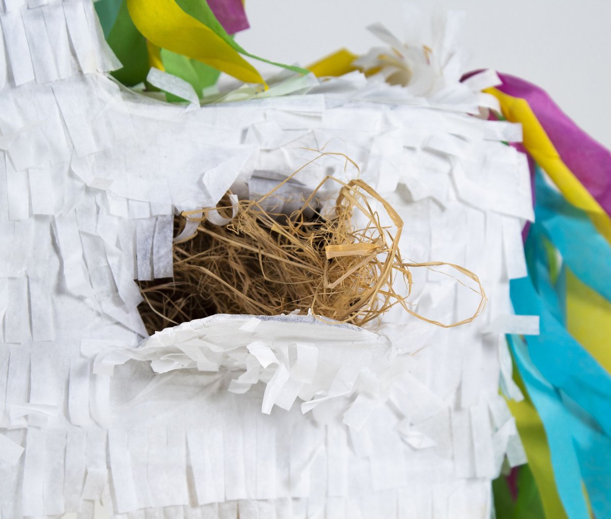 Bird Life Bird Unicorn Pinata with Natural Nesting Material