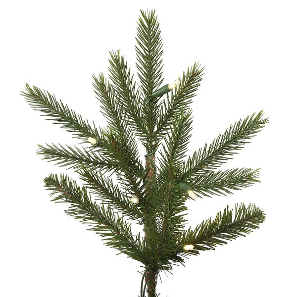 Vickerman 6.5' x 51 Fresh Fraser Fir Artificial Christmas Tree，Warm White Duralit LED Lights