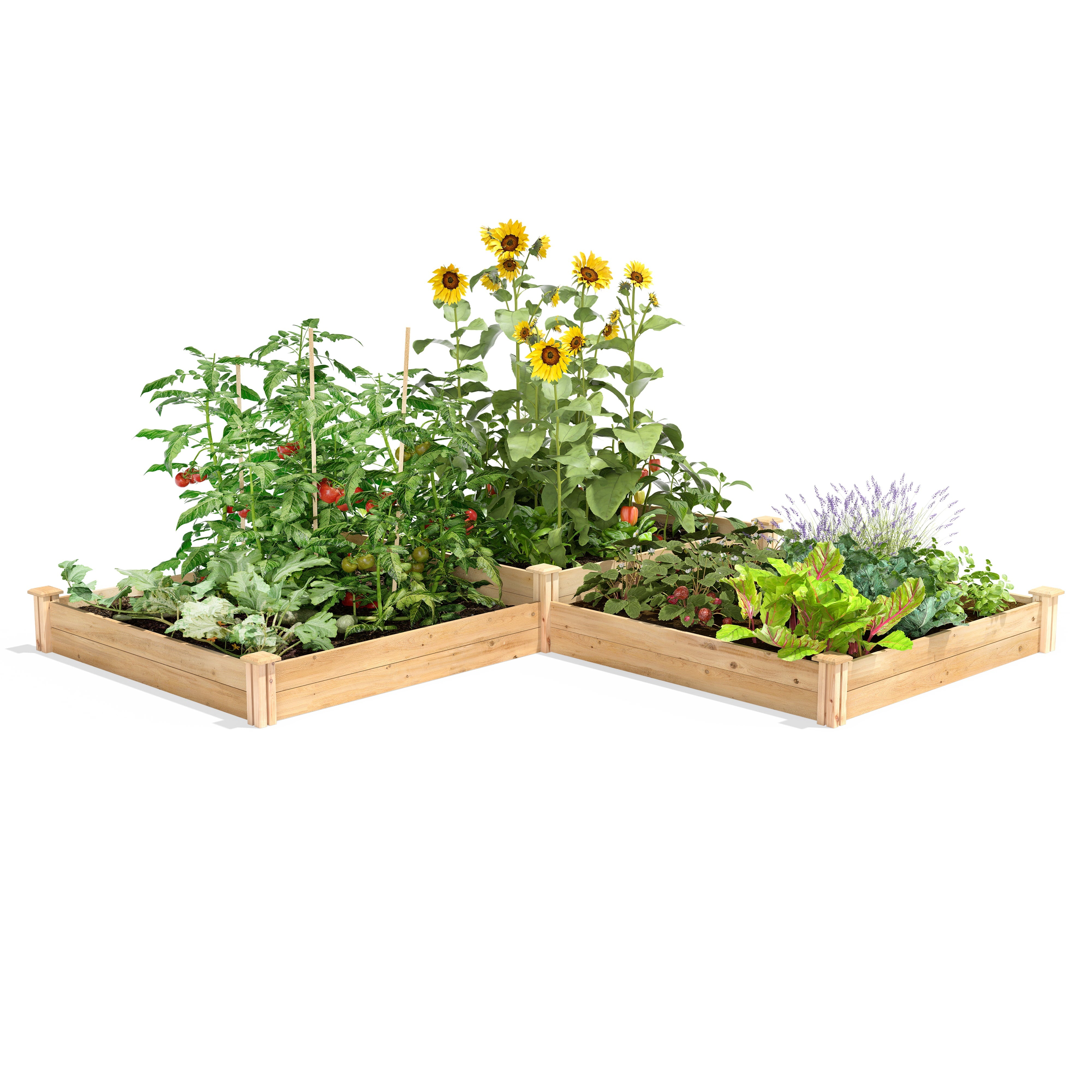 Greenes Fence Dovetail 2-Tiered Cedar Raised Garden Bed