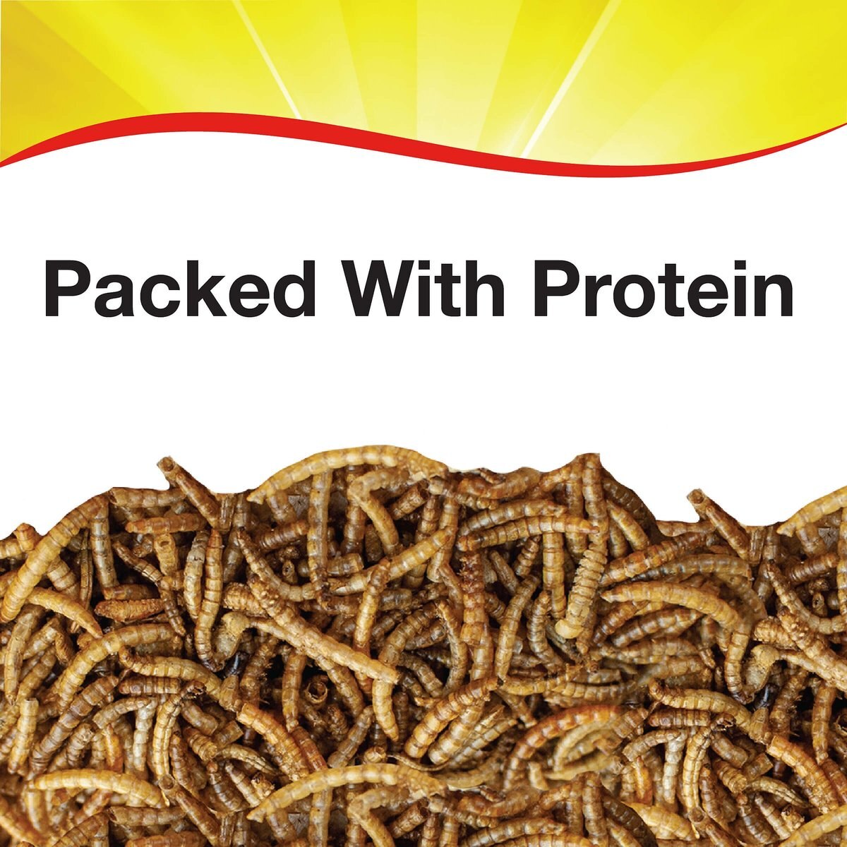 Wild Delight Mealworms Wild Bird Food， 16-oz bag