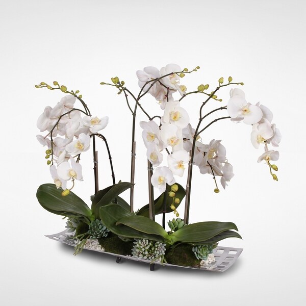 Real Touch White Orchids with Succulents in an Aluminum Tray