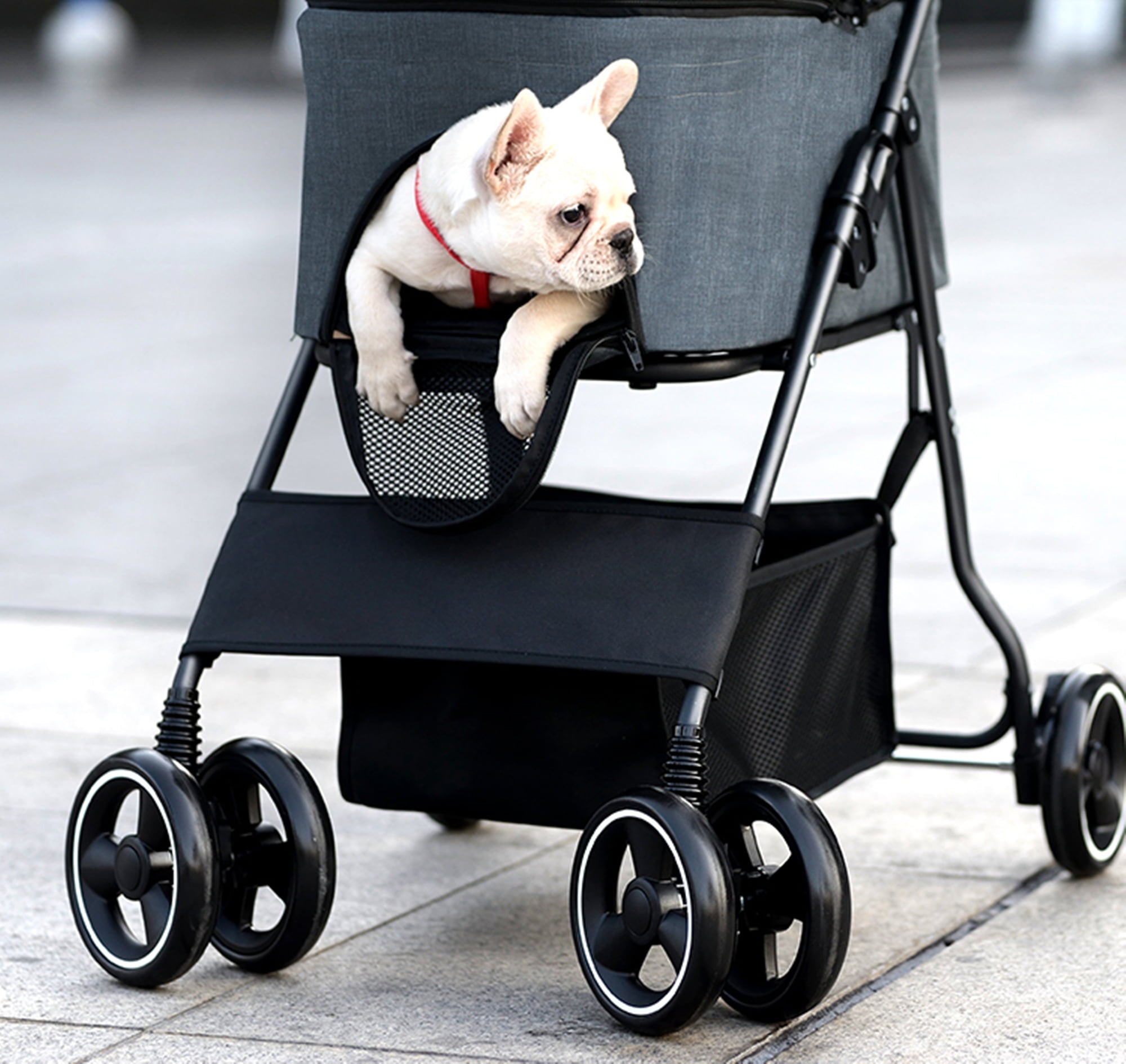 3 in 1 Folding Pet Stroller with Detachable Carrier for Small Dog Cat