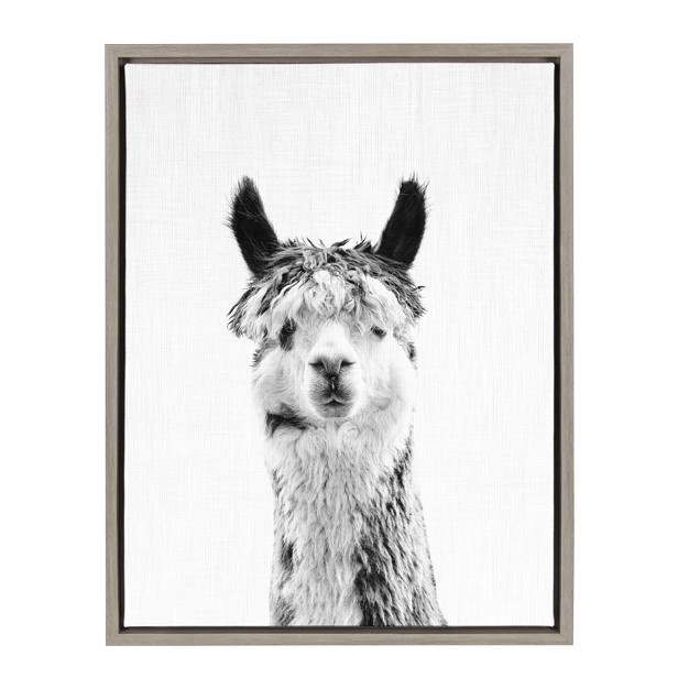 X 24 quot Sylvie Llama Framed Canvas By Simon Te Tai Gray Kate And Laurel