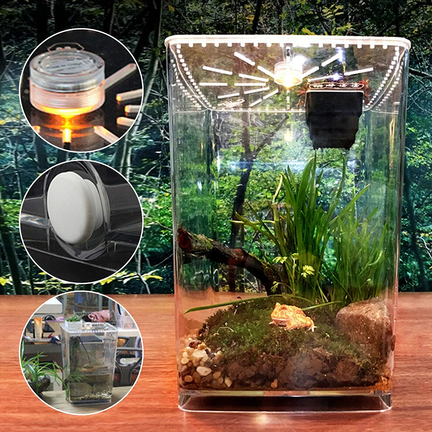 Acrylic Enclosure Terrarium Supplies for Tarantula Scorpion Reptile Tank 29.5cm