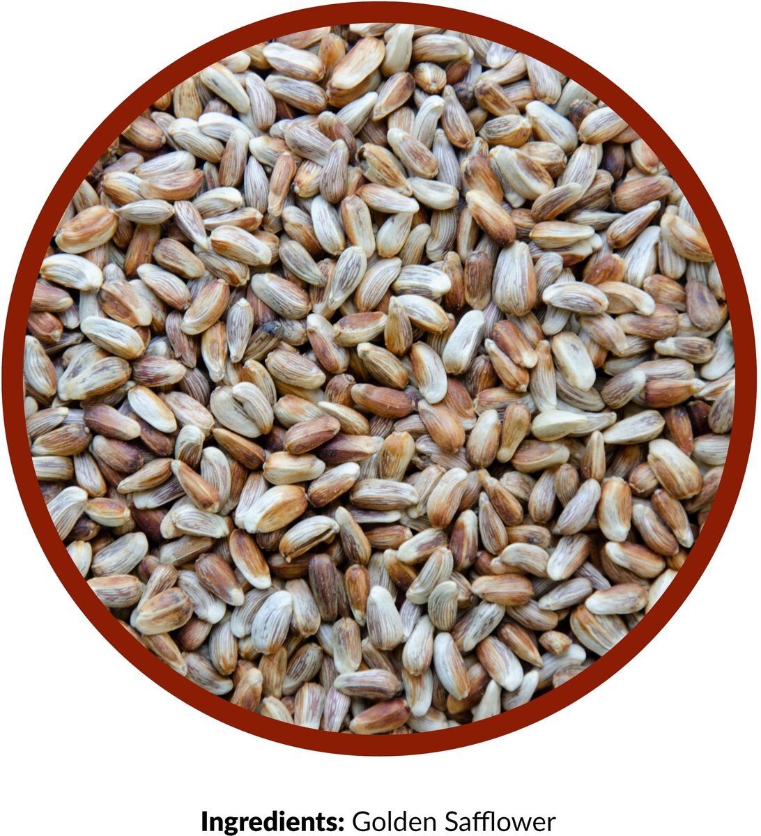 Lyric Golden Safflower Seed Wild Bird Food