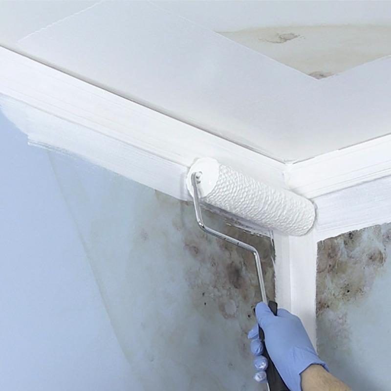 MOLD KILLING PRIMER 1GL