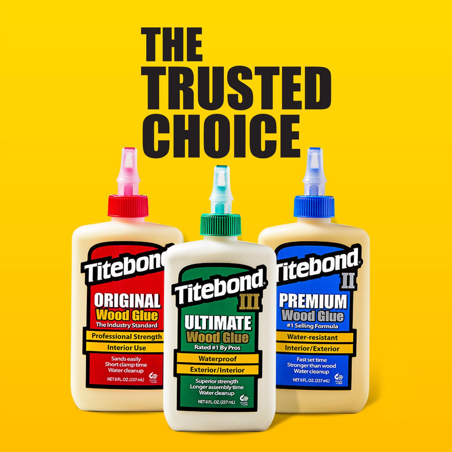 Titebond Translucent Wood Glue 16 oz