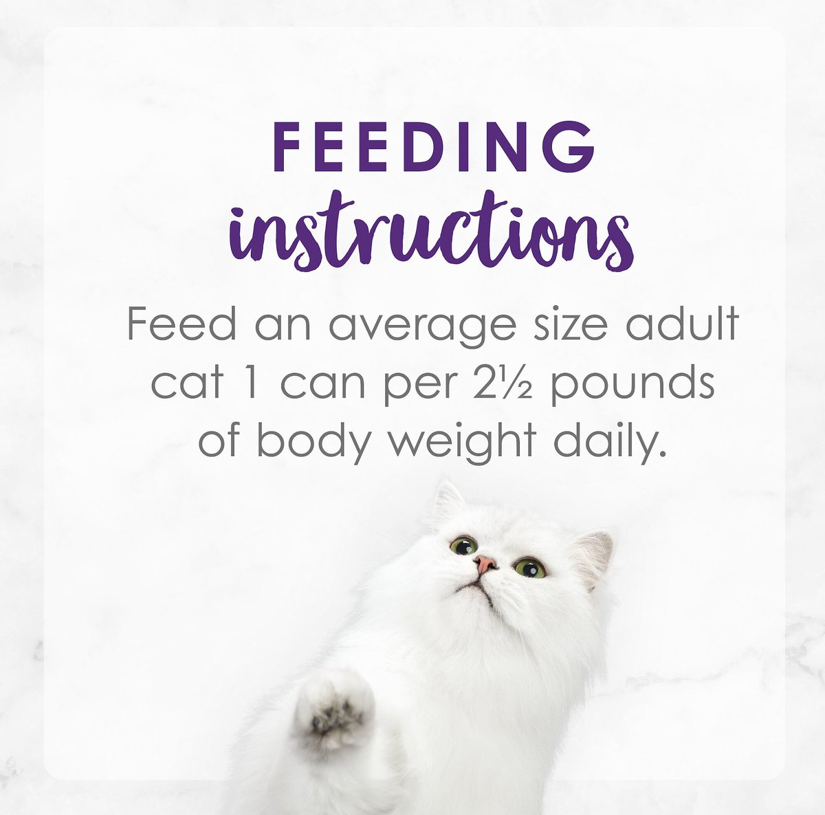 Fancy Feast Delights with Cheddar Grilled Turkey and Cheddar Cheese Feast in Gravy Canned Cat Food