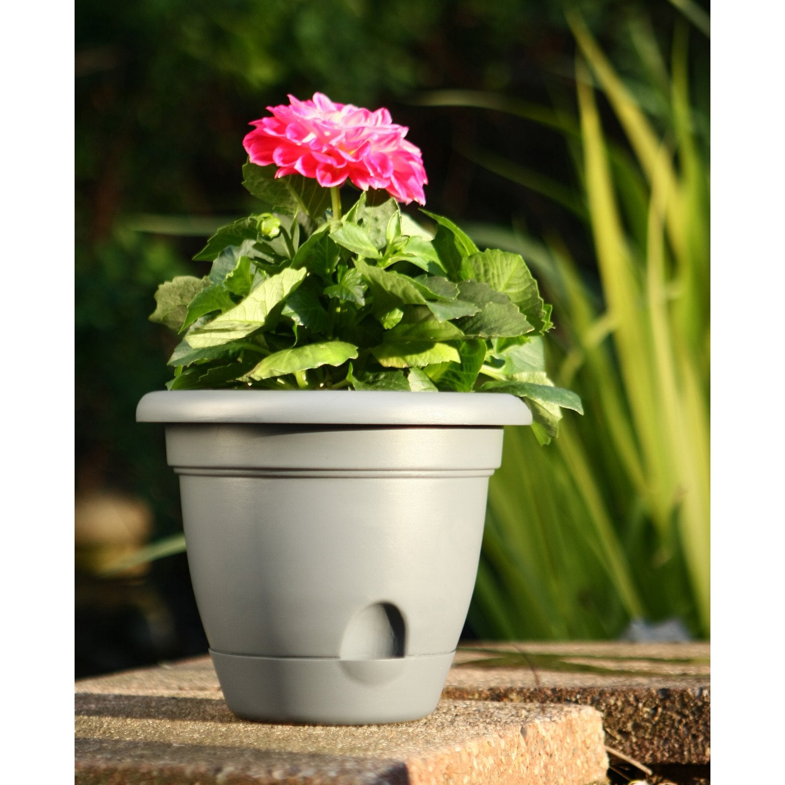 Bloem Lucca Self-Watering Plastic Pot Planter