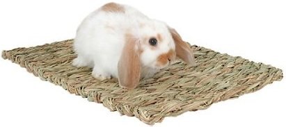 Peter's Woven Grass Small Animal Mat