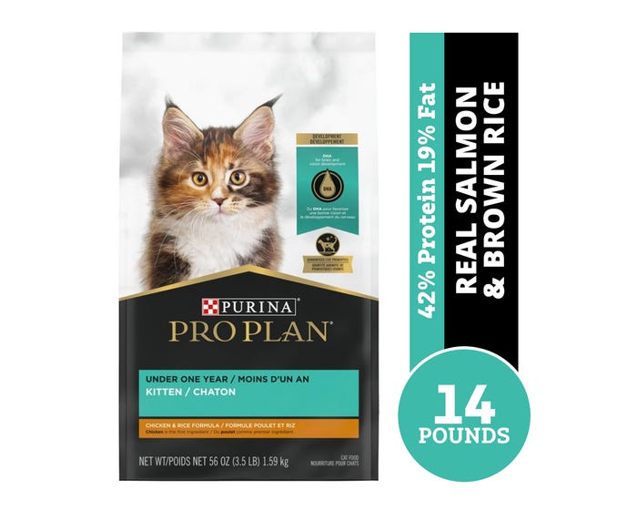 Purina Pro Plan with Probiotics High Protein Chicken  Rice Formula Dry Kitten Food， 3.5 lb. Bag