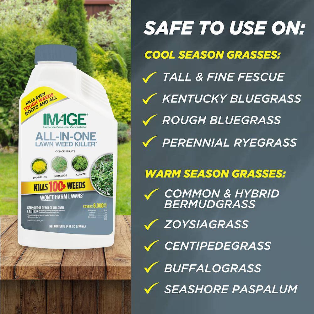 IMAGE Herbicides All-In-One Lawn Weed Killer Concentrate