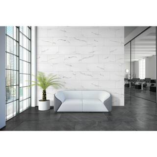 MSI Aria Bianco 12 in. x 24 in. Polished Porcelain Floor and Wall Tile (16 sq. ft.  case) NARIBIA1224P