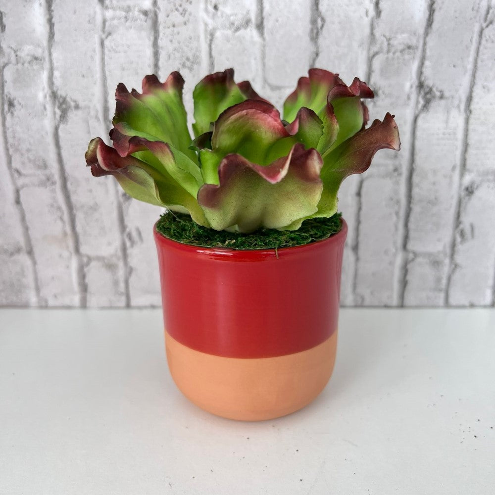 Gorgeous Artificial Plant in Pot of Your Choice