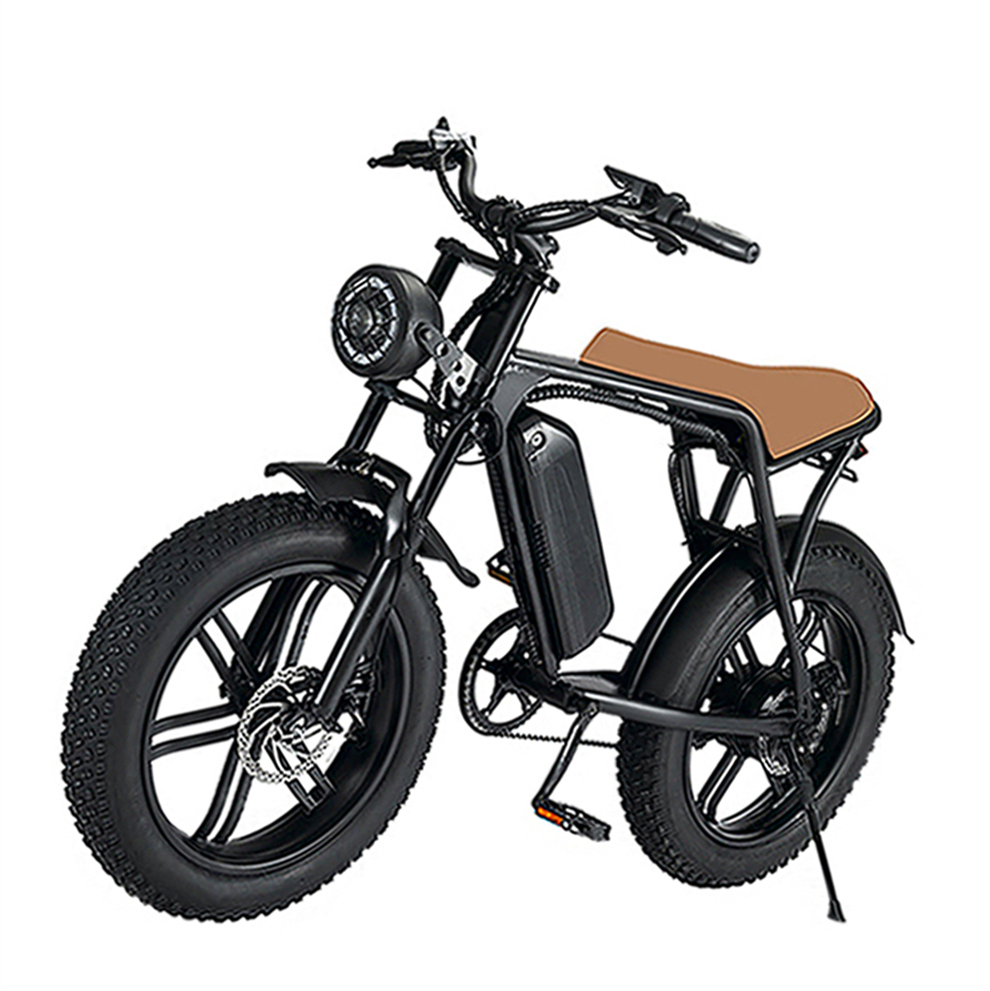 Sport Pedal Assist Ebike Electric Bicycle Electric Cycle Mountain Bike Retro Fat Tire Electric Bike 750w Fatbikes