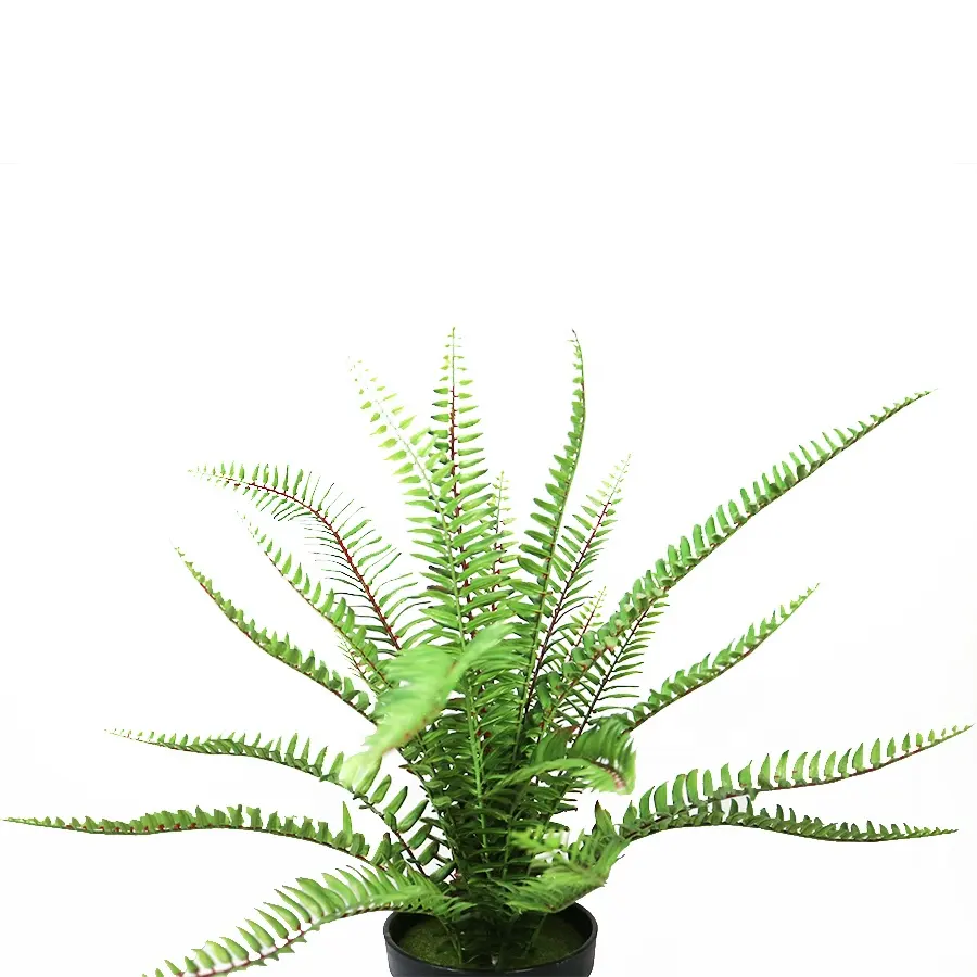 Supplies 50cm high 21lvs simulation fern tree with black plastic pot