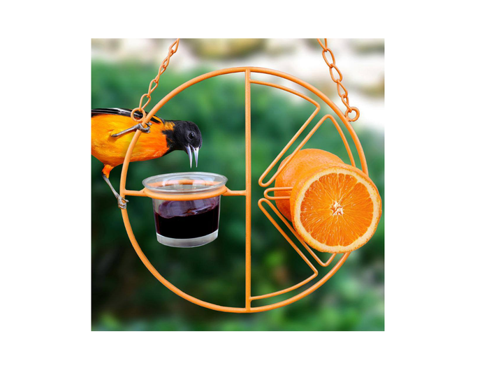 Heath Clementine Oriole， Bird Feeder - CF-133