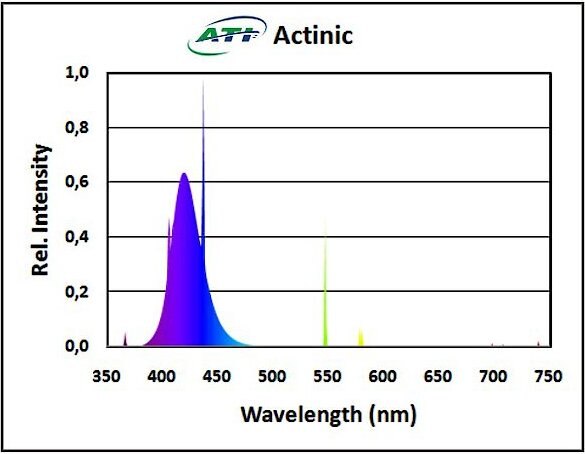 ATI T5 True Actinic Aquarium Bulb， 24-watt