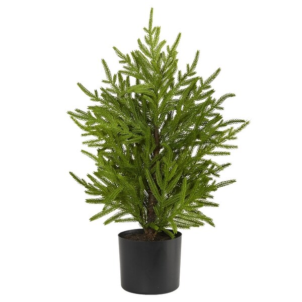 2' Norfolk Island Pine Natural Look Tree in Decorative Planter