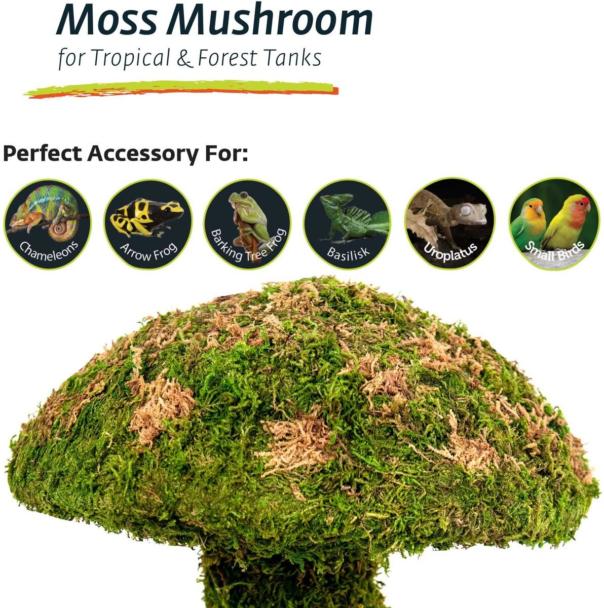 Galapagos Moss Mushroom Reptile and Amphibian Terrarium Accessory， Fresh Green