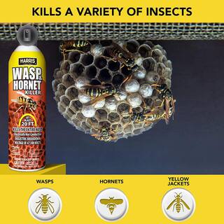 Harris 16 oz. Wasp and Hornet Killer (12-Pack) 12WH-16