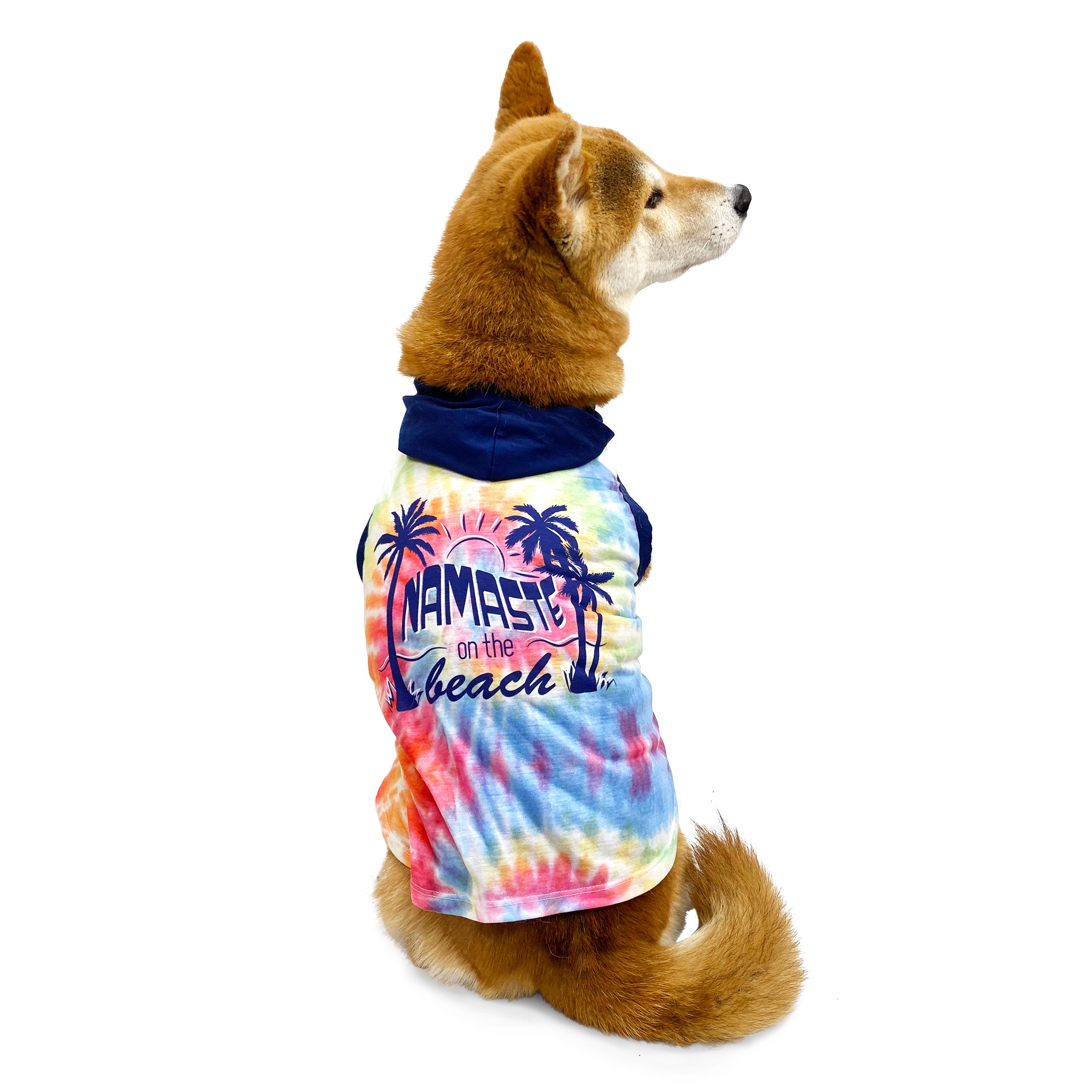 Vibrant Life Namaste Dog Hoodie， Blue， Extra Small