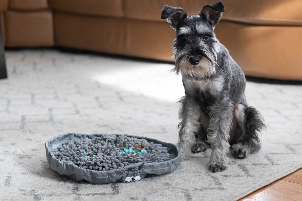 Pet Parents Forager Snuffle Mat and Slow Feeder Dog Bowl