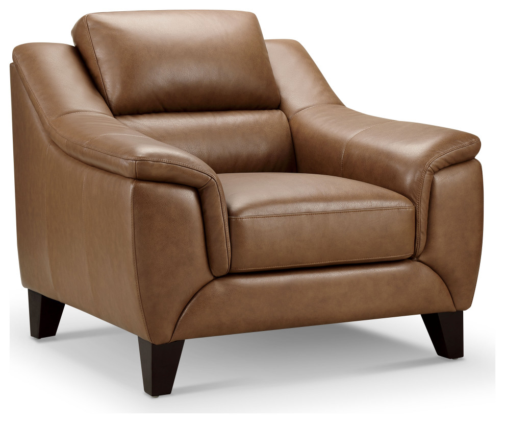 Arlen Leather Chair  Camel   Modern   Armchairs And Accent Chairs   by Abbyson Living  Houzz