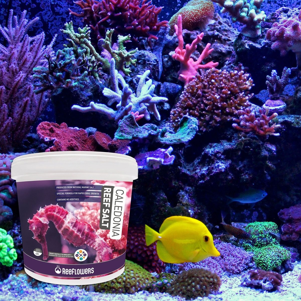 Reeflowers Caledonia Reef Salt Aquarium Salt